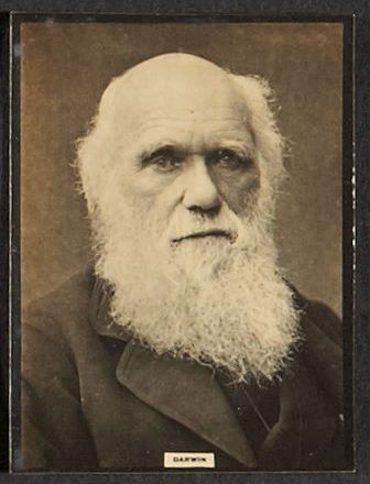 15S Darwin.jpg